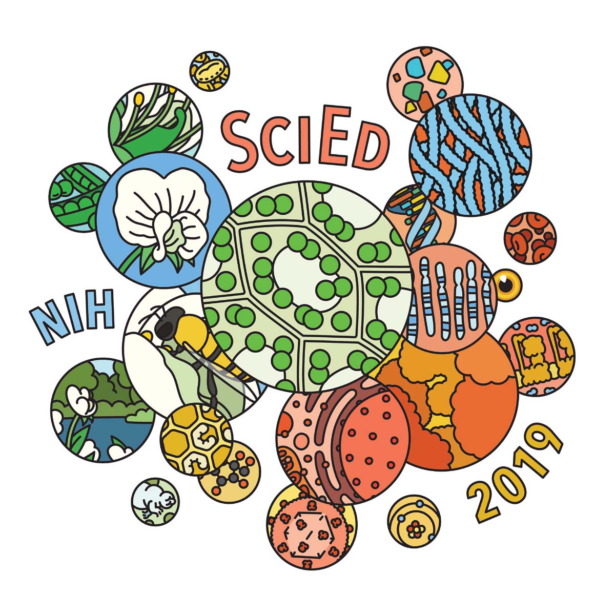 NIH SciEd Conference