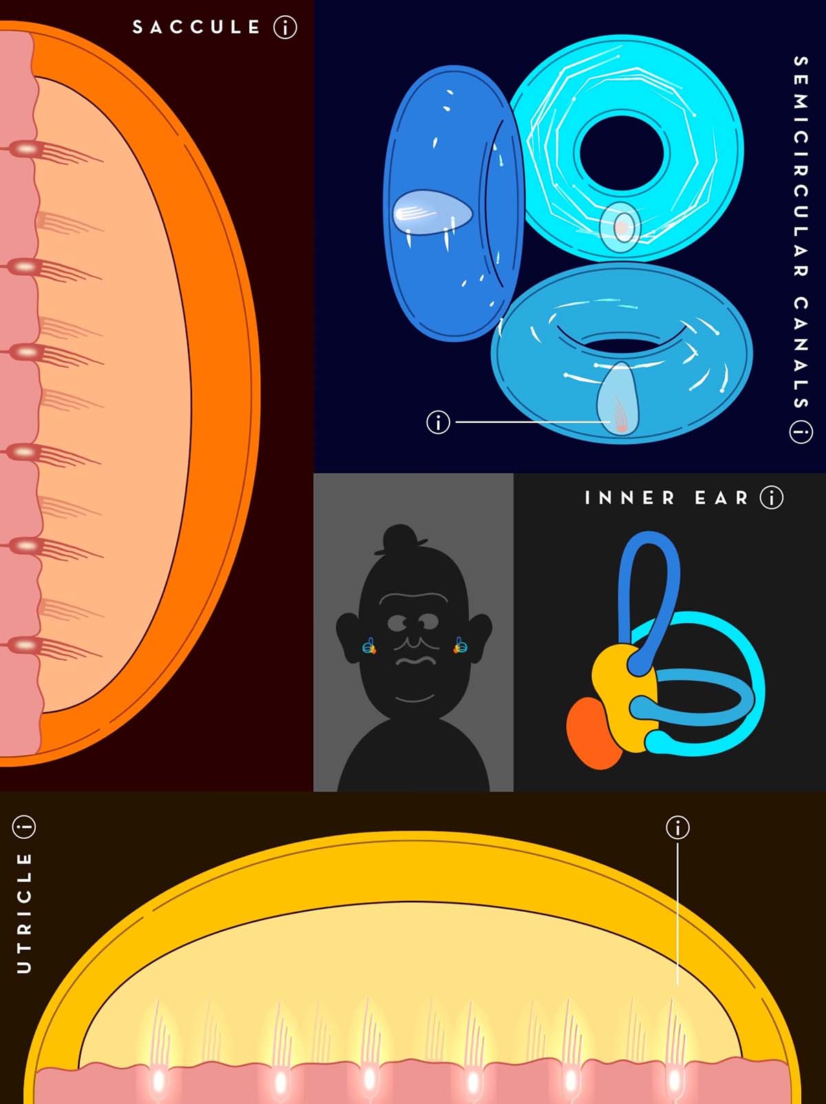 NIH SciEd Conference