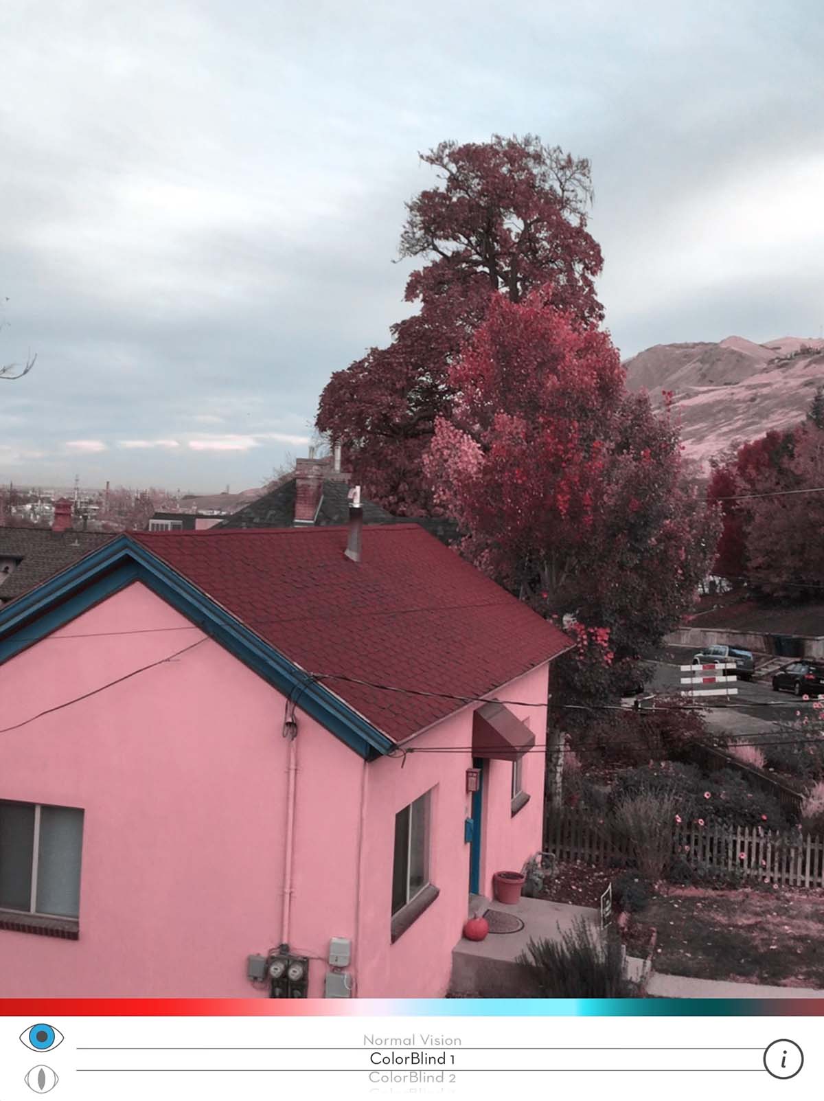 NIH SciEd Conference