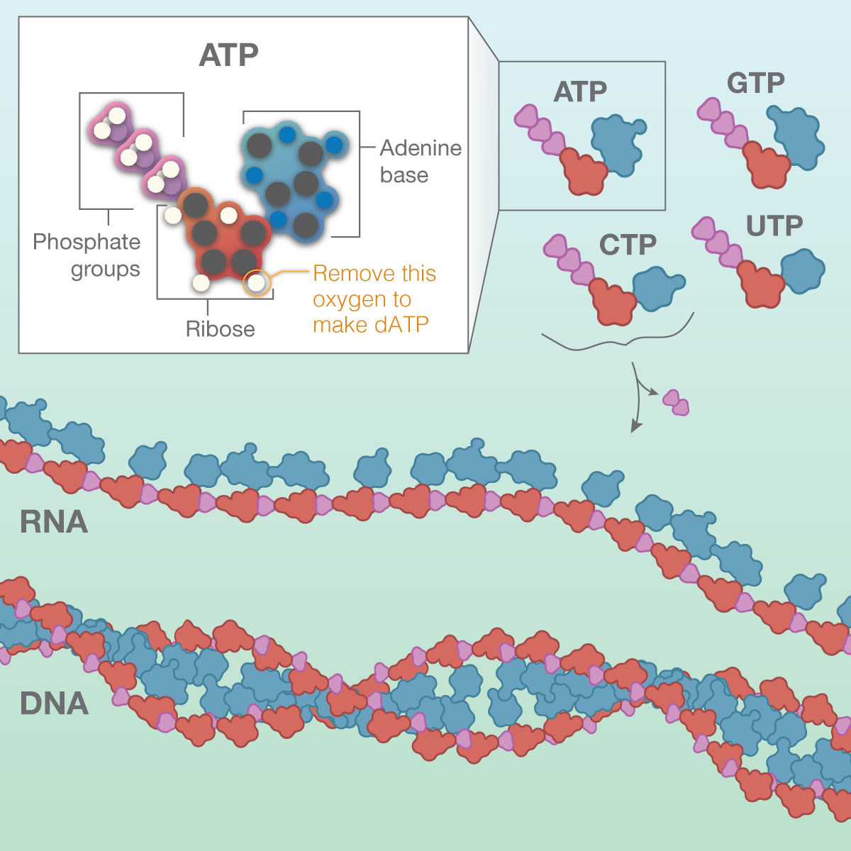 Partner and attendee signage