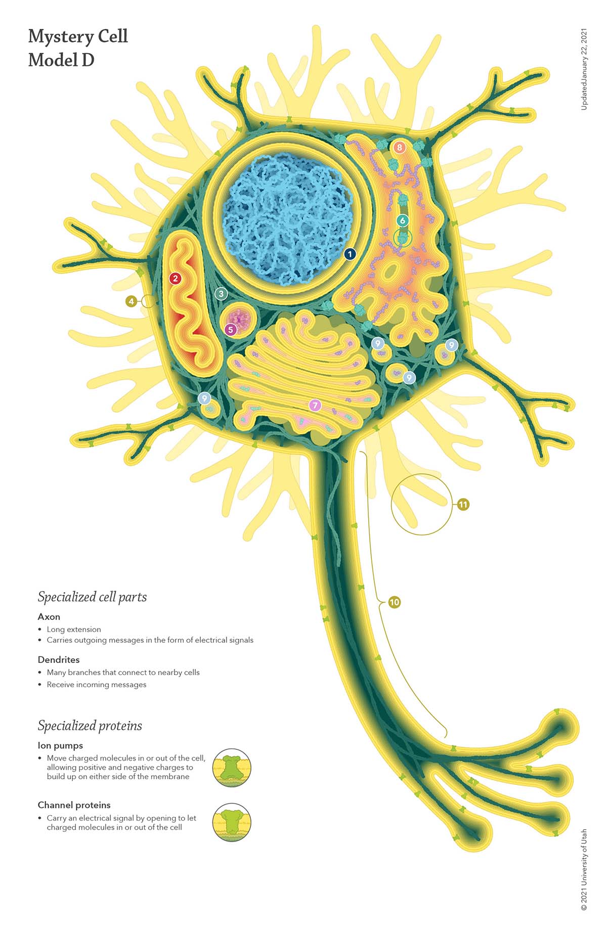 Partner and attendee signage