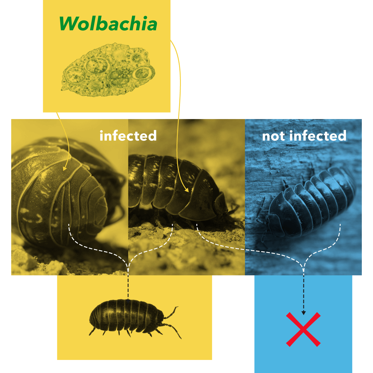 Partner and attendee signage